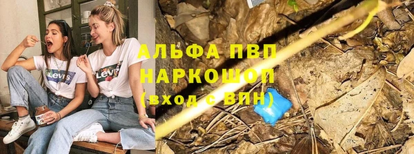 меф Арсеньев