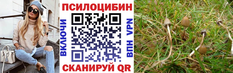 Галлюциногенные грибы мицелий цена наркотик Плёс